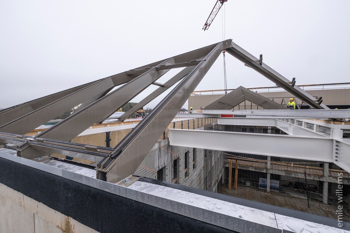 Niels Slotman tweet media