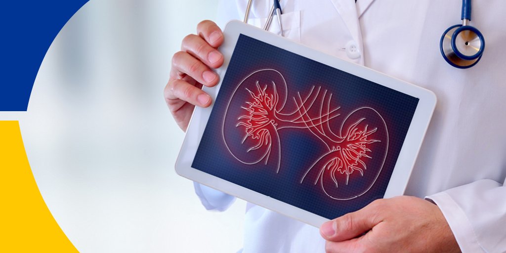 SummaHealth's tweet image. Did you know your kidneys can filter up to 150 quarts of blood per day? 
#FunHealthFact #KidneyFacts