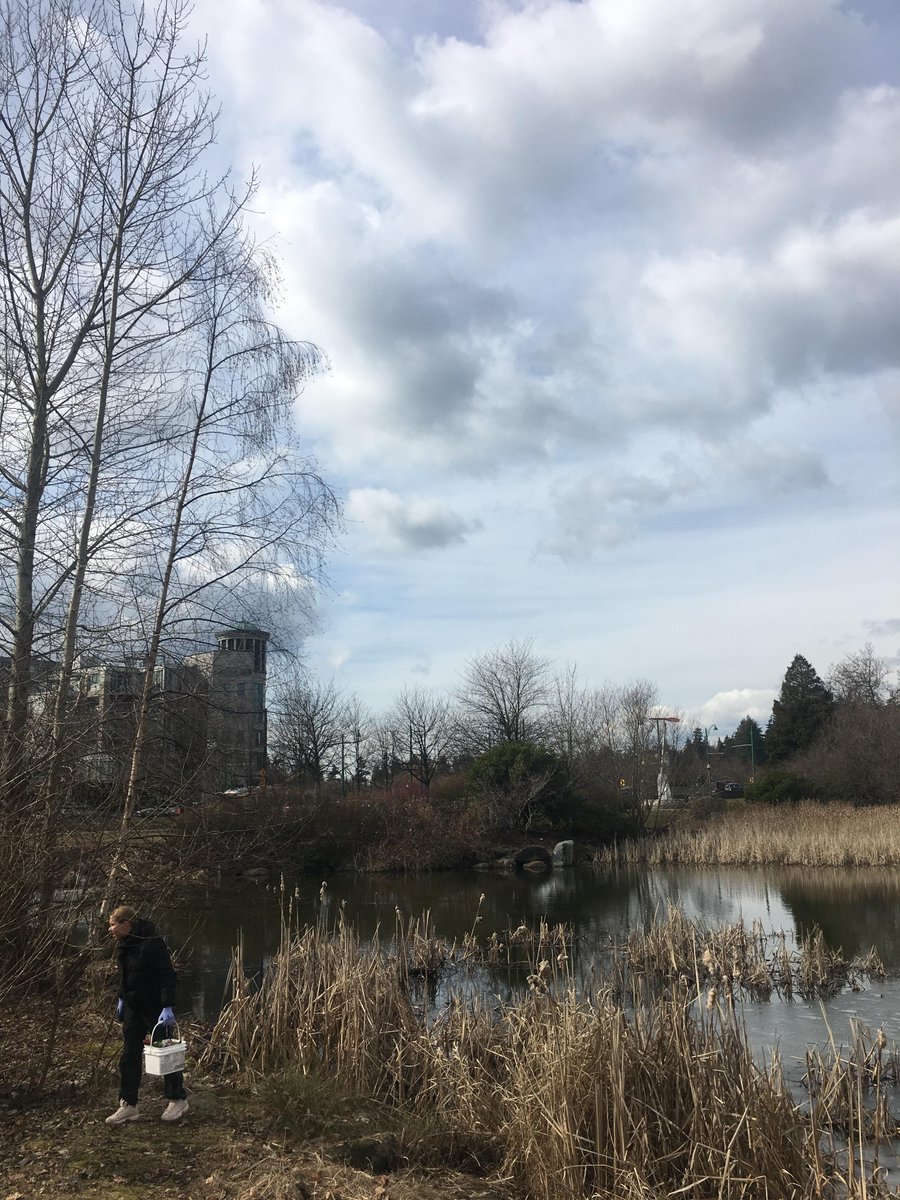 cleanshorelines's tweet photo. Snippets of our #BackyardCleanup yesterday! We collected tons of discarded clothing and lots of our Dirty Dozen items. #ButtOut #StrawsSuck #NoPlanetB #ShorelineCleanup https://t.co/8g9NGTLpVQ