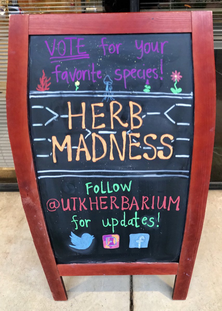 UTKHerbarium's tweet photo. March is here!! Get ready for #HerbMadness2019! Comment your favorite plant #genus below to see if it wins, and remember to check back throughout #March to vote for each #bracket! 🌺🤩📱🤳���🏀 @UTK_EEB @ArtsSciencesUT #Botany #HerbSign #Basketball #MarchMadness #Vote https://t.co/tZvfzJWtPl