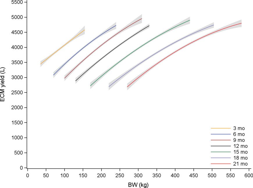 Positive relationships between body weight of dairy heifers and their first-lactation and accumulated three-parity lactation production dlvr.it/QzyqsQ