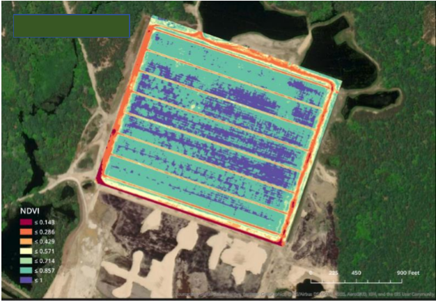 Skycision's tweet photo. One of the easiest ways for a grower to detect problems in a field that could impact plant growth and yield such as insects, diseases, and nutrient and moisture deficiencies is to examine NDVI images for that field. #feedtheworld #skycision #agtech #newengland #farming https://t.co/g84pGClOVk