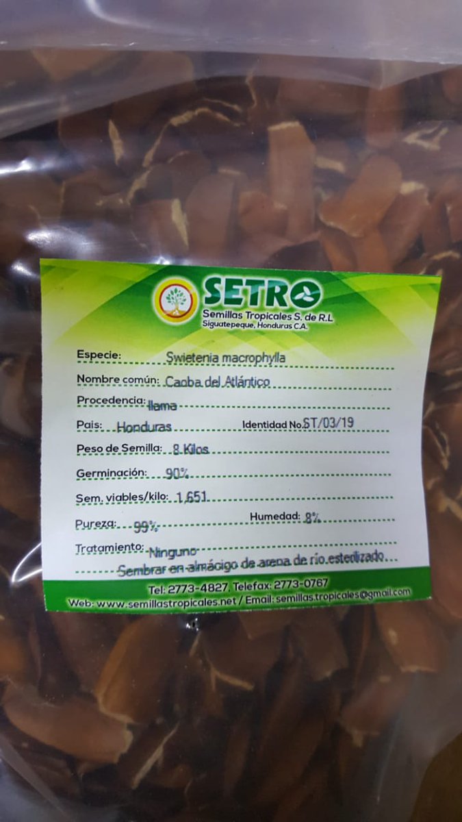 token_tree's tweet photo. Agreement with #SETRO Semillas Tropicales. Prepared all the seeds for the new sowing of mahogany in our farms

#TREEFARMTOKEN #mahogany #DominicanRepublic #EnvironmentalBlockchain #Securities https://t.co/os6aLAQsMy