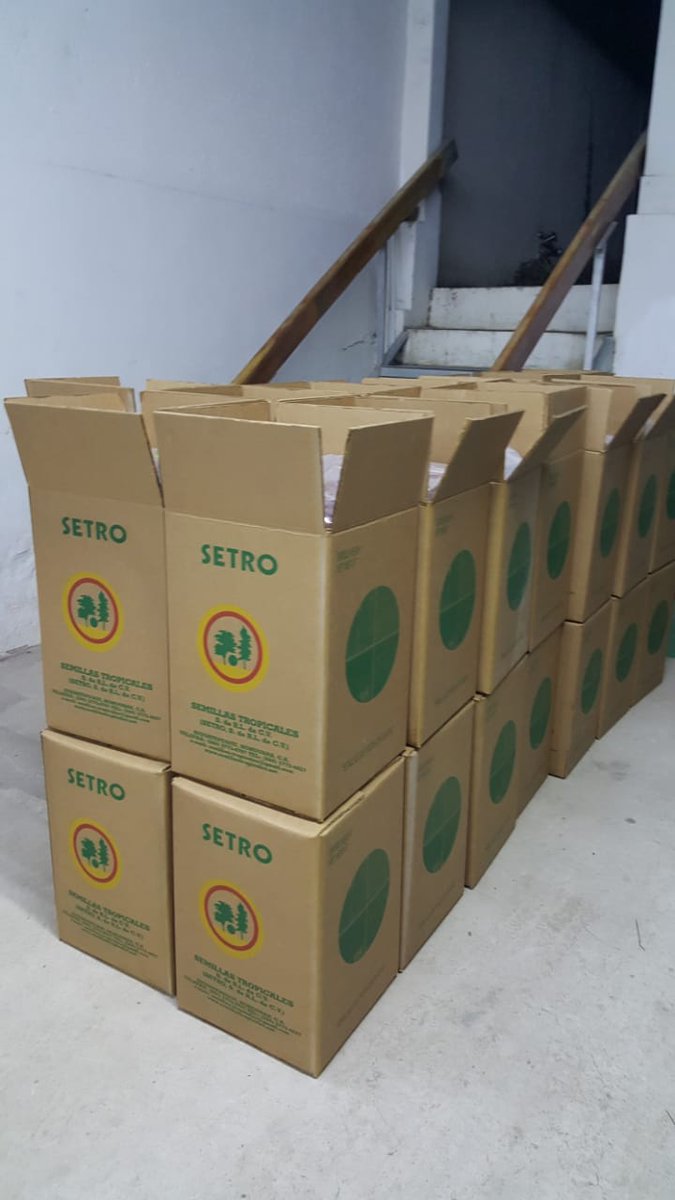 token_tree's tweet photo. Agreement with #SETRO Semillas Tropicales. Prepared all the seeds for the new sowing of mahogany in our farms

#TREEFARMTOKEN #mahogany #DominicanRepublic #EnvironmentalBlockchain #Securities https://t.co/os6aLAQsMy