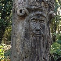 visitfaversham's tweet photo. If you're looking for a lovely place to walk this time of year, try Oare Gunpowder Works. Perfect for pushchairs & loved by children of all ages - it's a lovely mix of history, waterways and woodland. Dogs welcome on a lead.
#visitfaversham #visitkent #oaregunpowderworks https://t.co/MaCbvyvfqz