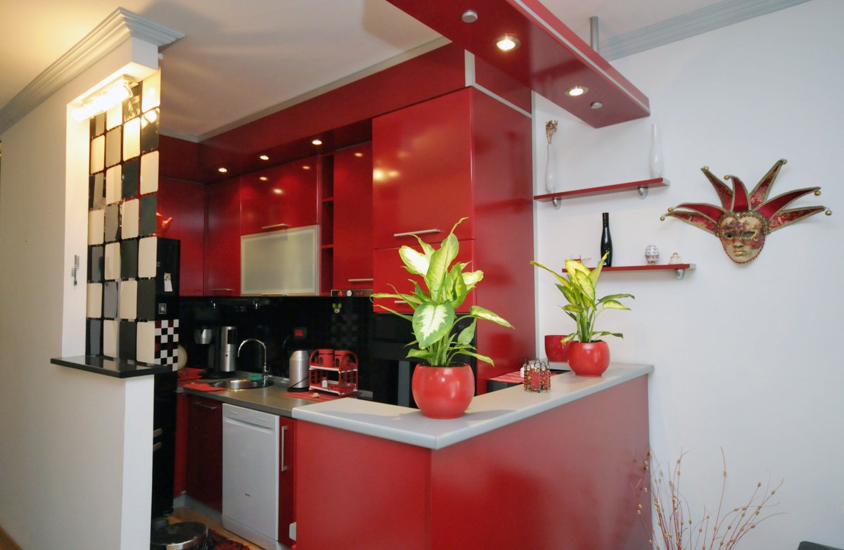 CipaTravel's tweet photo. Andrea Lux Apartment Budva****
https://t.co/8B2isKJzCS https://t.co/jcsHl6W9Tu