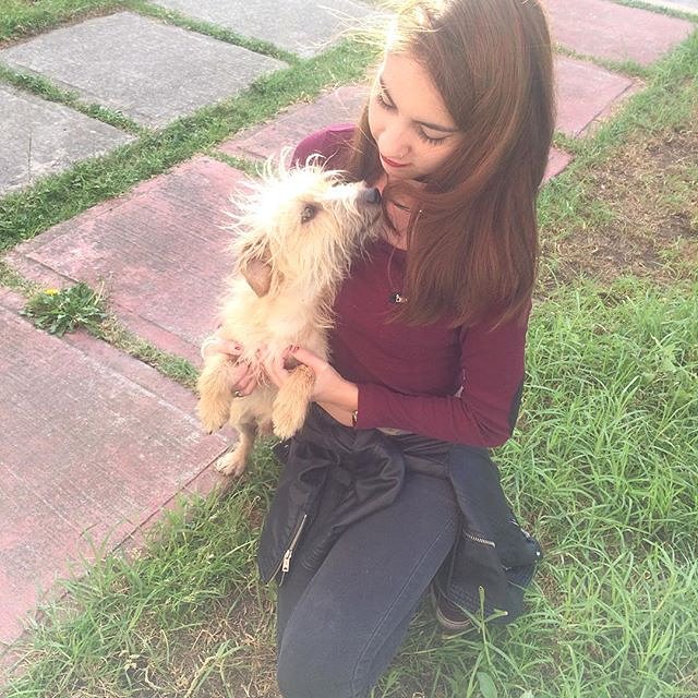 AS_Official_ID's tweet image. With my friend&apos;s dog. Is the dog cute?