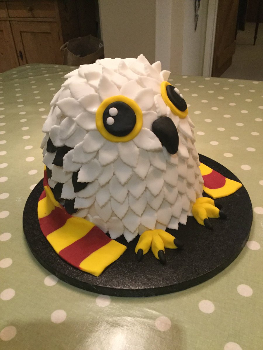 First day in my new school was great!  Then I squeezed in cake making for the twins’ birthday tomorrow.  Introducing a rather plump Hedwig!