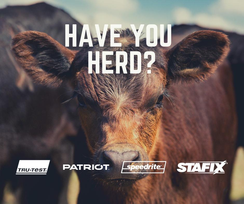 SpeedriteFence's tweet photo. Introducing our new brand pages, getting you closer to the brands you know and love. 

@TruTestNorthAmerica
@PatriotNorthAmerica
@SpeedriteNorthAmerica
@StafixNorthAmerica https://t.co/KU14FOWhrE