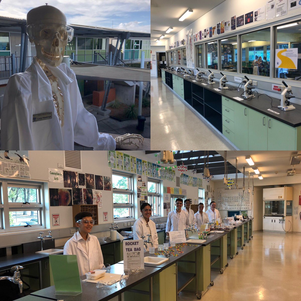 gracemamo's tweet photo. Our Science Team are waiting to show you our wonderful labs π§ͺπ₯Ό 𧫠𧬠#clancyopenday @CCCWestHoxton @D_Fetterplace https://t.co/SNYVroV3lH