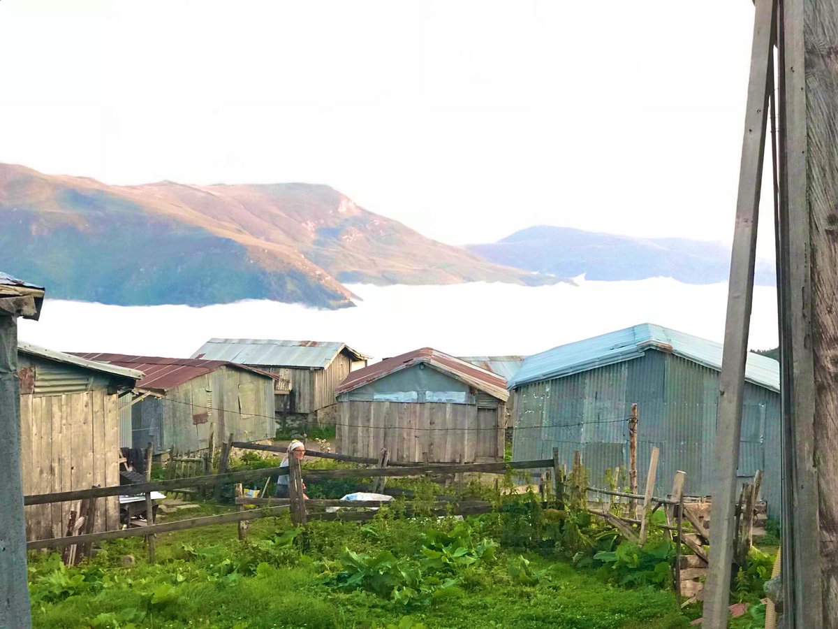 Beni burda bırakın... Sizde ne haliniz varsa yaşayın.
