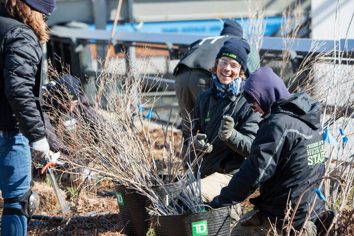 highlinenyc's tweet photo. Become a High Line member by March 7 to support our 2019 #SpringCutback &amp; receive a FREE member tote! Join today: https://t.co/zBk98njhdL

📷: @lizligon https://t.co/XLOmM6Pmzl