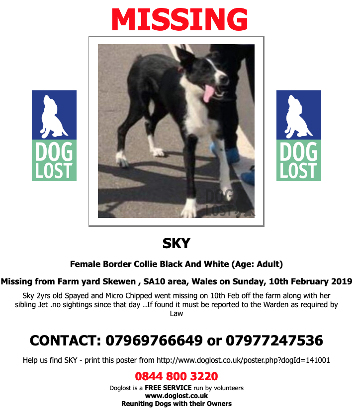 DogLost.co.uk  
#LOST  #DOG  JET
**MISSING WITH SKY**
Female #BorderCollie 
#Skewen  #SA10 
Sunday, 10th February 2019   #LostDog  #ScanMe   doglost.co.uk/dog-blog.php?d…  <a href="/VetsGetScanning/">MakeChipsCount to Reunite Pets</a> <a href="/SAMPAuk_/">Stolen&Missing Pets</a> <a href="/HarrisonFood/">Harrison Food (OTRB) 🌈</a>