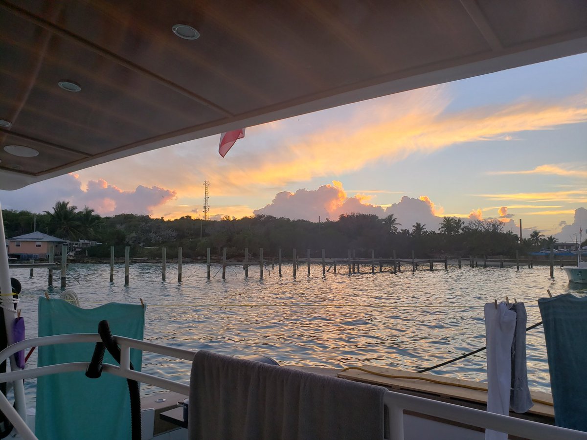 officialmcafee's tweet photo. I'm sitting on the stern if tge boat,  preparing for an interview -- lost in my phone, while this scene sat patiently waiting observation. I am sometimes an idiot https://t.co/spEjf1sBjz