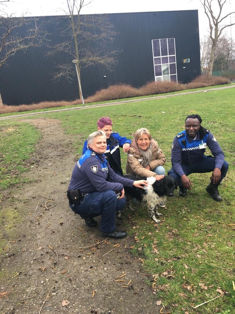 #Hond was via een sloot aan de andere kant van een hek beland #Schiebroeksepark en wilde niet meer terugkomen. #HandhavingN_010 in de buurt en bood de #helpende hand #hond gevangen die hiervoor verplicht moest #zwemmen eigenaresse  #dankbaar
