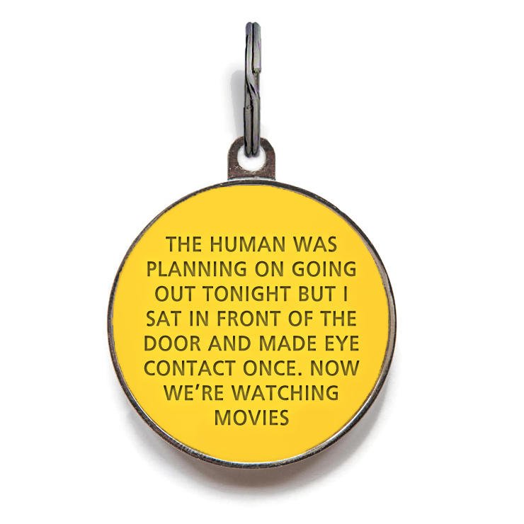 DogsTrust's tweet image. It's happened again.