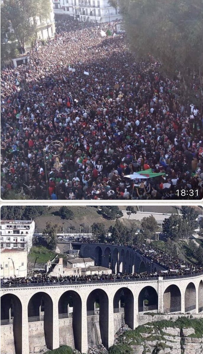 AhlamMostghanmi's tweet photo. أبناء المدينة الشامخة
يجتاحون شوارع قسنطينة وجسورها 
هناك حيث قلبي . . 🇩🇿💝 https://t.co/2JUlC9aSsn