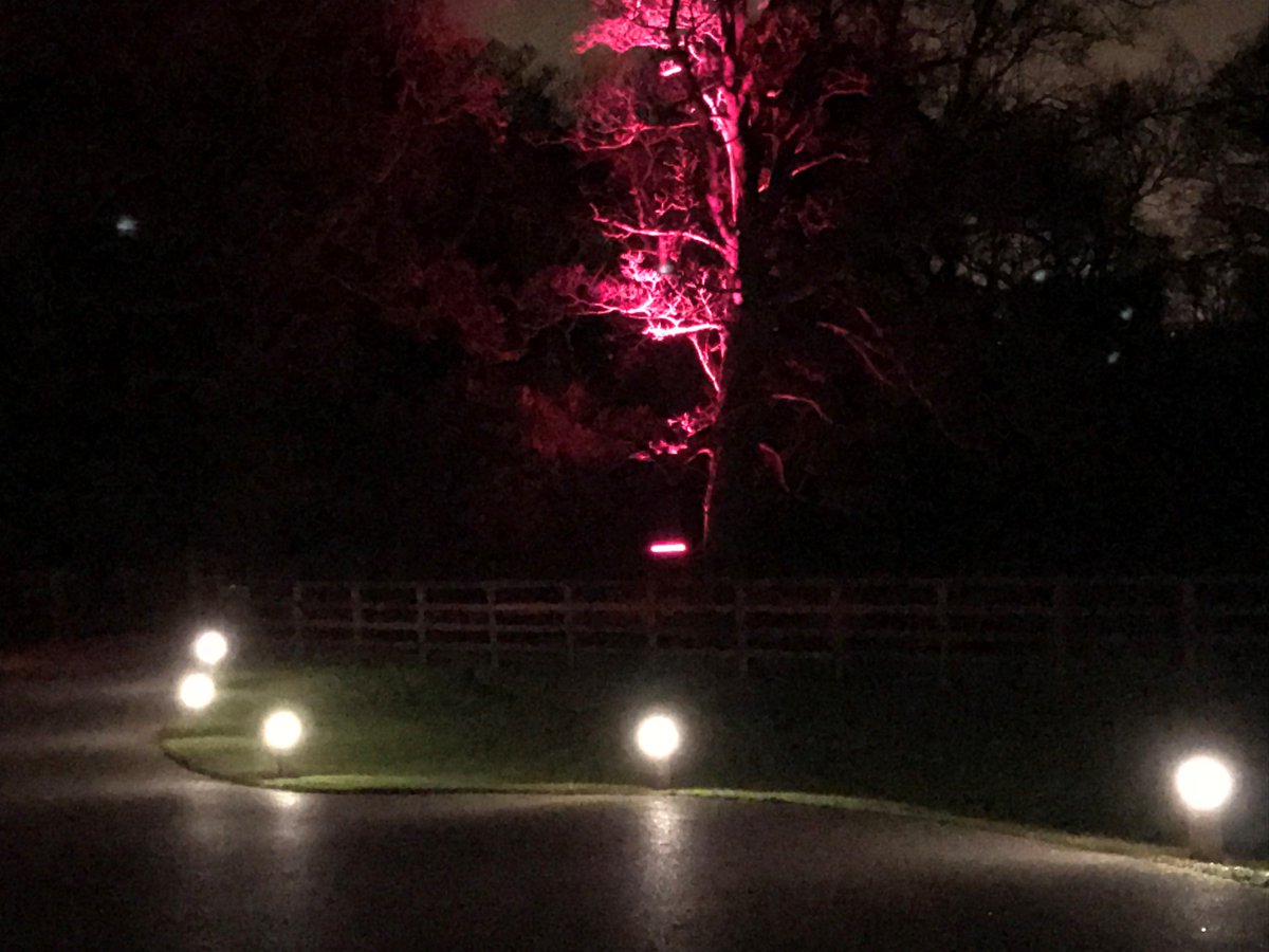 Go2Electrical tweet media