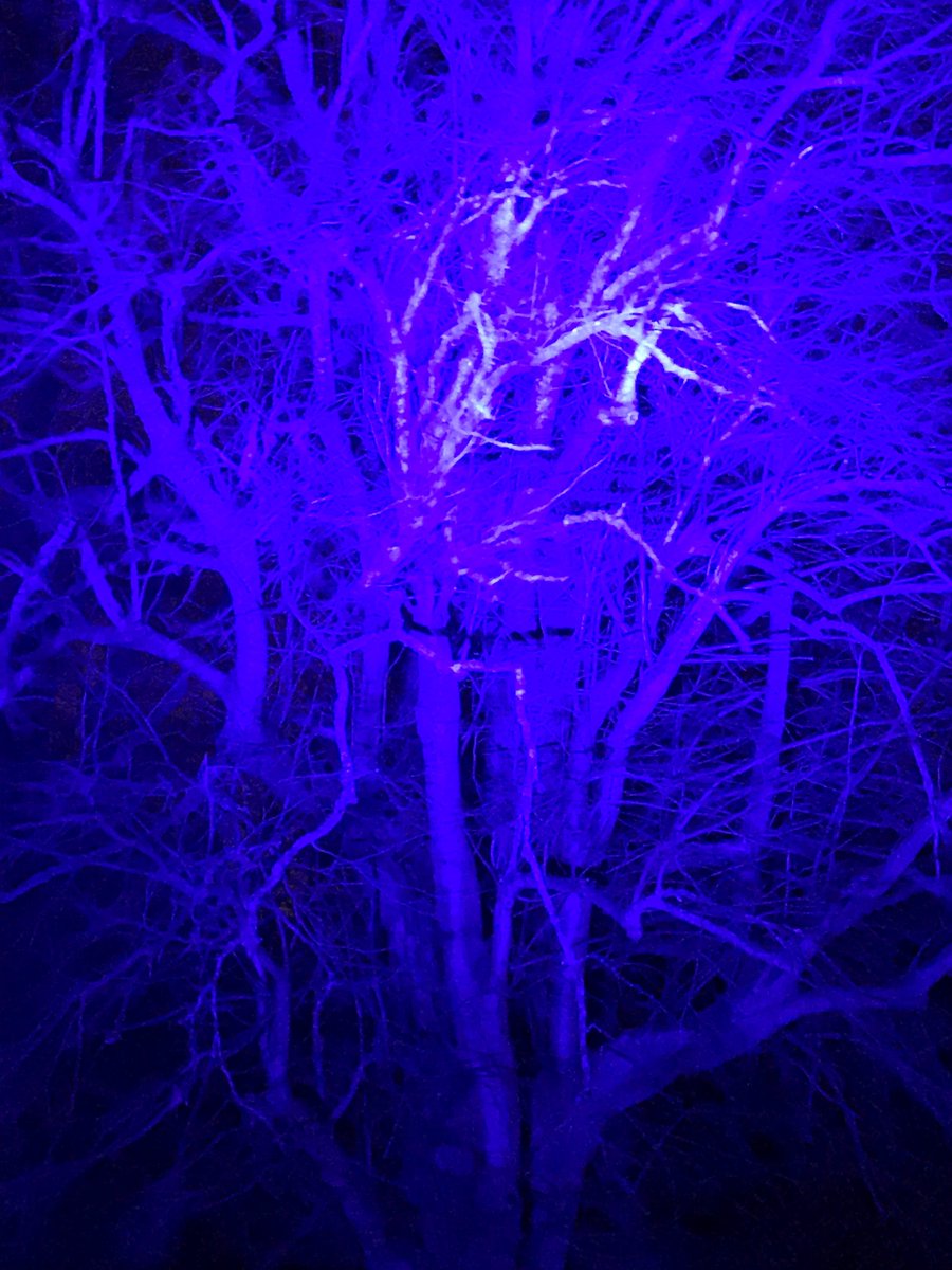 Go2Electrical tweet media