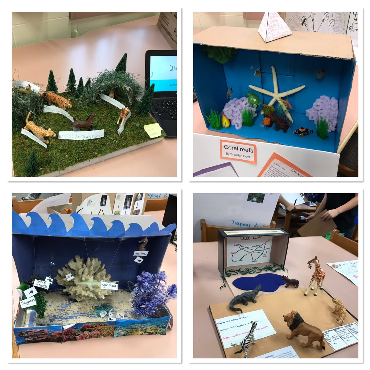 miss_files's tweet photo. We enjoyed the afternoon doing a gallery walk of all of our ecosystem projects with Mrs. Nortz and Mrs. Kiely’s classes. #silvershinesMPS #creativescientists @GDaniels5MPS @MrsAKiely5th @Warrior_News https://t.co/CzqLFQm7ie