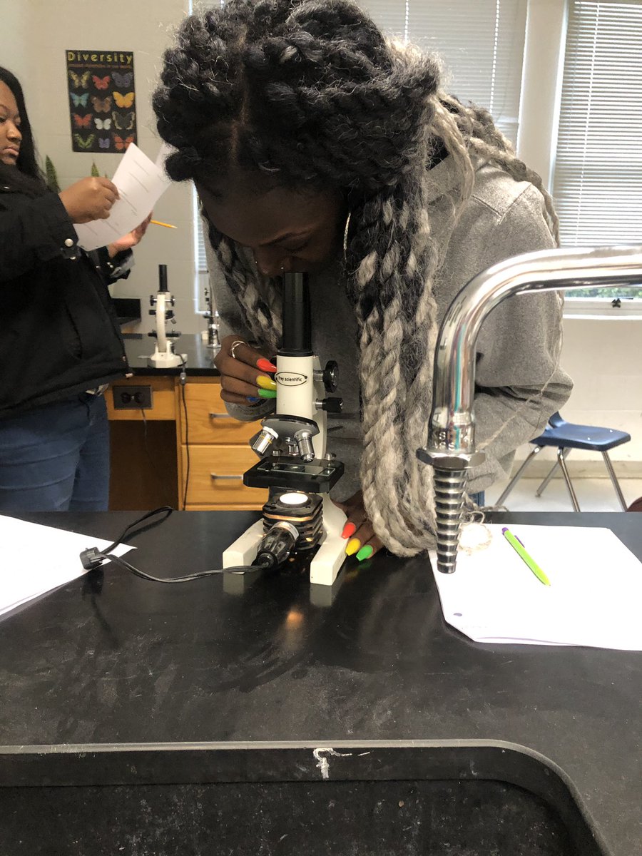 Friday fun: Cheek cell and onion cell microscope lab! Such a great way to reinforce cell structures and SI! #iteachbio #scpsva #makefridayfun