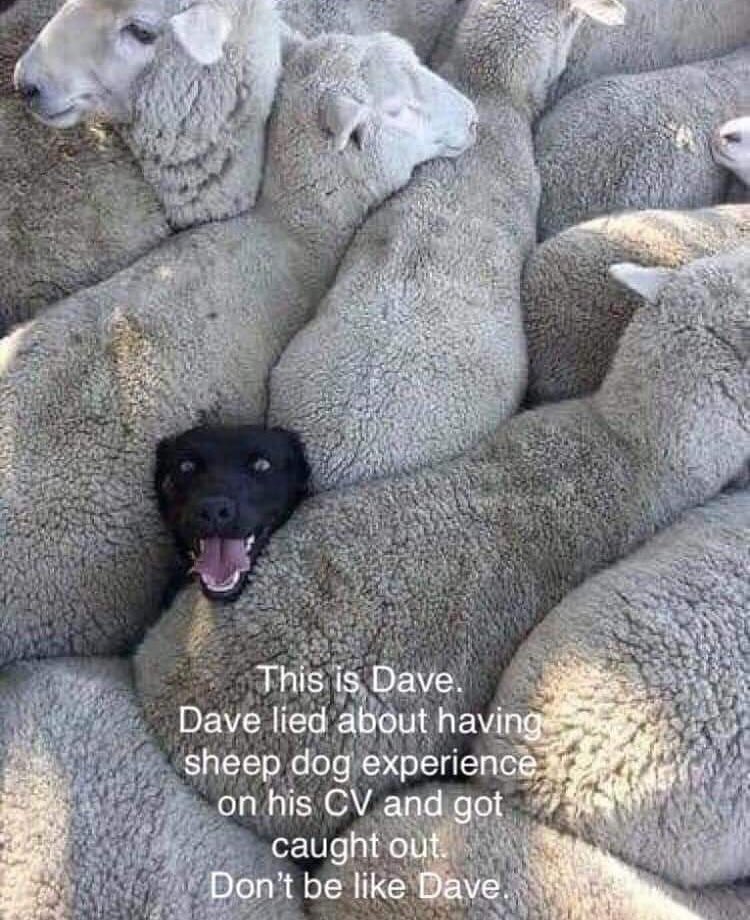 algrecu's tweet image. Don’t be like Dave.