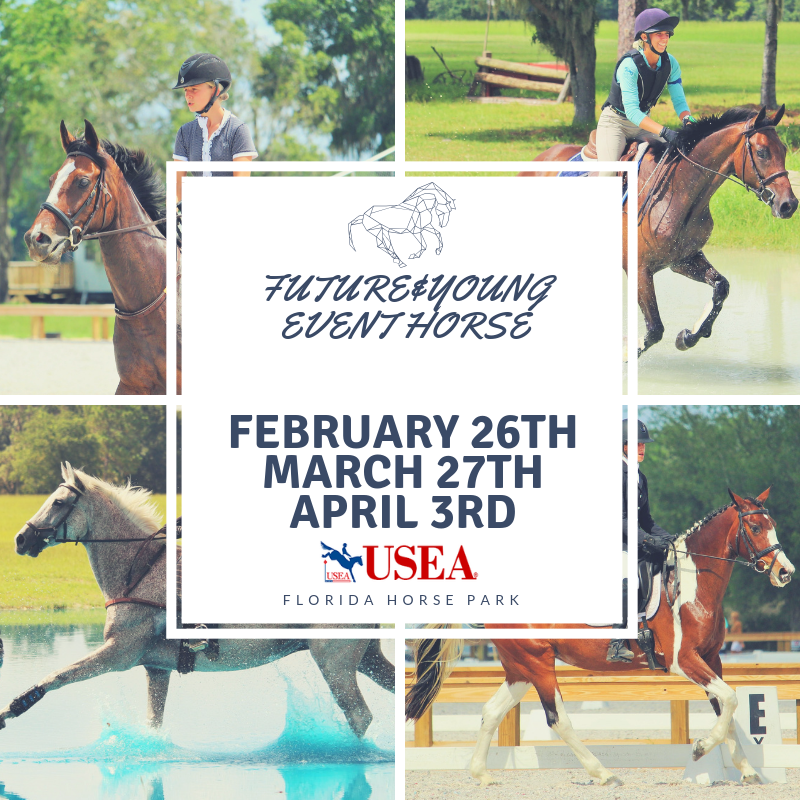 #horse #ocala #eventing #florida