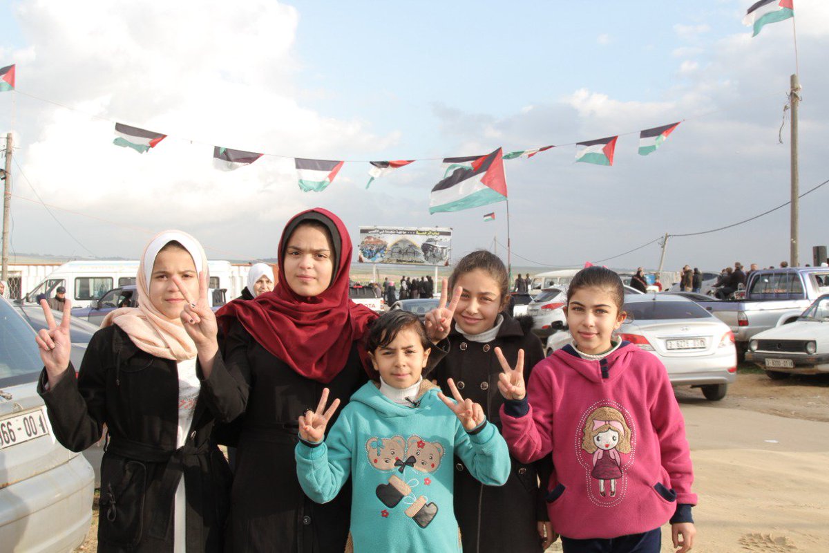 Palestine In All Languages tweet media