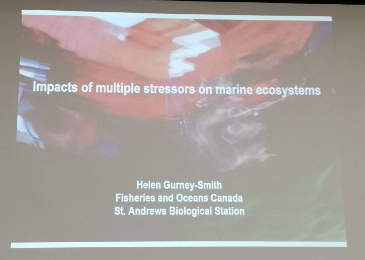 BioSeminarsUNB's tweet photo. Happening now! Thanks for coming Helen https://t.co/b89uFlOOVL