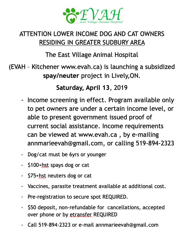 EVAHLondon's tweet photo. EVAH is headed NORTH April 13,2019! Pilot project launch for low cost spay neuters, specifically for lower income families, in Greater Sudbury! Register with annmarieevah@gmail.com 519-894-2323 @CBCSudbury @SudburyCrier @PetsOfSudbury @ARFAnimalRescue https://t.co/sItdg7jp3B