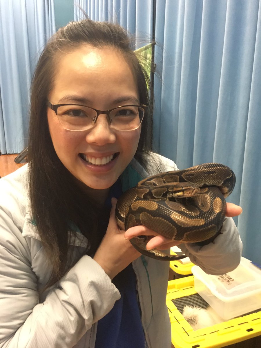 Lan (@lle_sci) on Twitter photo Gr2 & Gr3 Ss <a href="/MarcellaInt/">Marcella Elementary</a> had close encounters to learn about life science content today thanks to Principal <a href="/edwards_demedia/">Deme Edwards, Ed.D</a>! #Allin4Science #Allin4Aldine #petsnakeplease Gr2 & Gr3 Ss <a href="/MarcellaInt/">Marcella Elementary</a> had close encounters to learn about life science content today thanks to Principal <a href="/edwards_demedia/">Deme Edwards, Ed.D</a>! #Allin4Science #Allin4Aldine #petsnakeplease