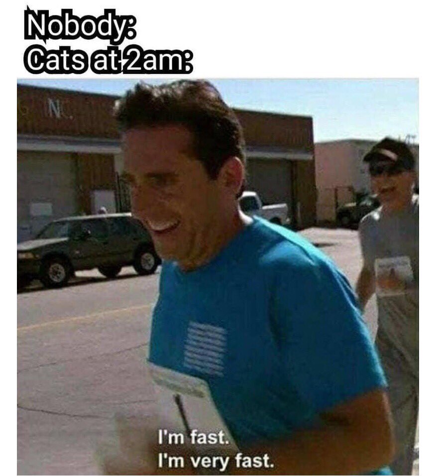 D0mNNbPW0AAHUes?format=jpg&name=medium