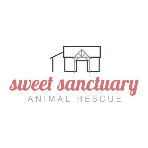 compassionknits's tweet photo. Every month, starting now, we will donate 15% of all sales to an #animalrescue or #animaladvocacy group. For the month of March, we are pleased to sponsor the Sweet Sanctuary Animal Rescue. 🐴 🐐 🐖 🐓 ❤️ 

https://t.co/76thS2Bbbj https://t.co/GXHY13DK9N