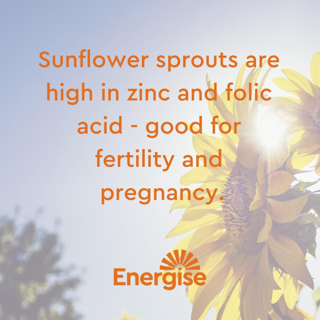EnergiseAcademy's tweet photo. 🌻 Zinc is essential for the development of sperm.
🌻 Folic acid (a B vitamin) helps ensure the proper development of the baby’s nervous system during pregnancy.
#Energise #MoreRaw #MoreLiving #SunflowerSprouts #Sunflower #Sprouting #LivingFoods https://t.co/4XA4jIpoQy