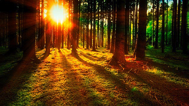 mytrippytrails's tweet photo. If you follow someone else path, then you are neglecting your own.
.
~Trippy Trails~
.
#trippytrails #trippy #path #psychedelic #woods #nature #naturetrail #trail #trails #sun #sunset #natureporn #naturephotography #natureart #like4like #follow #like4likes #love #plur #dmt #woken https://t.co/a5yQL7zYWe
