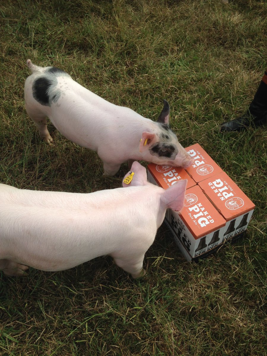 It’s #NationalPigDay. You know what to do... Naked Pig Pale Ale is on draft right now! 🍻 🐷