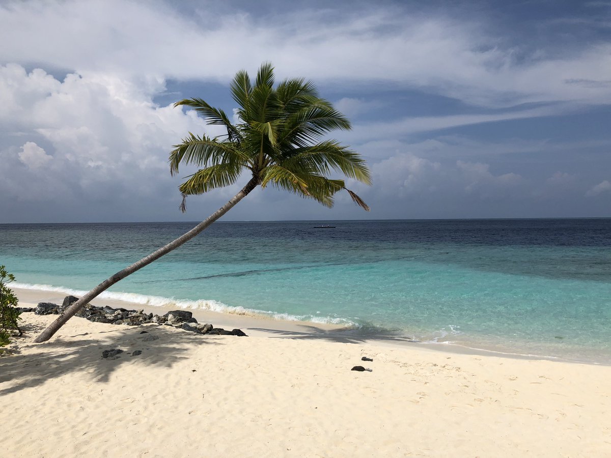 NoMasCoach's tweet photo. We're Sending you on a Summer #Vacation. Really. - https://t.co/Z0G3KY1U3N 
#EveryoneDeservesAVacation #Giveaway https://t.co/asbvsgoW3W