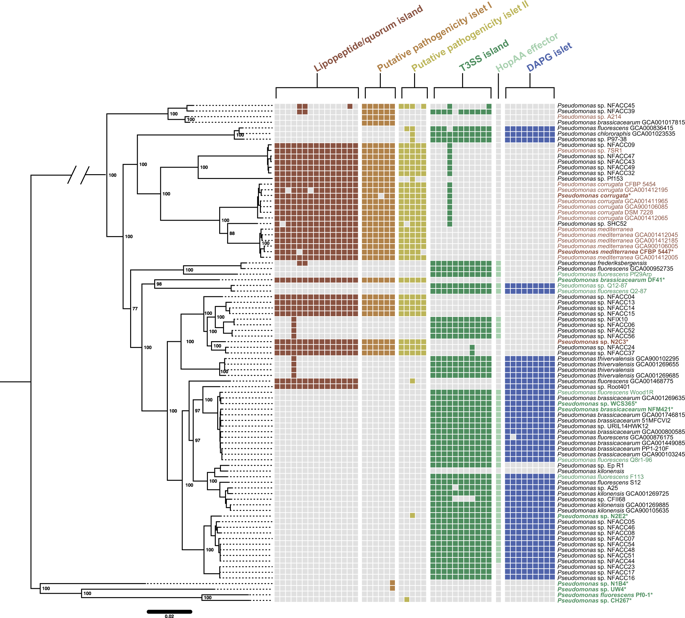 ubcmsl's tweet photo. The #HaneyLab paper is published in @ISMEJournal! It shows gene sharing drives lifestyle changes in plant-associated Pseudomonas https://t.co/XMamjXYJUq @Cara_Haney @ryanmelnyk @UBCMicroImmuno #ubcmsl #UBC #plantmicrobiome https://t.co/werS6G6Ig2