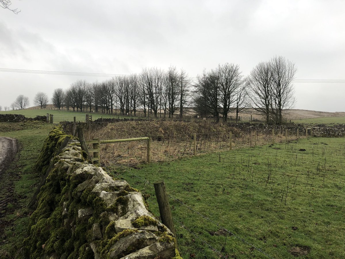 WhitcherWild's tweet image. Another Whitcher Wildlife Ltd artificial badger sett showing high levels of recent badger activity. #Badger #badgers #badgersett #quarry #ecology #mitigation
