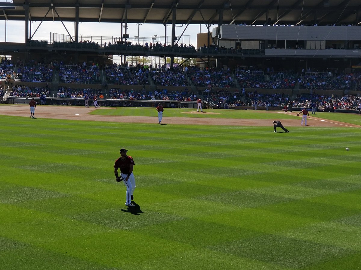 andrea_ozias's tweet photo. Because a day in the cheap seats beats any day in the office when I'm watching @DPFreightTrain6! @Dbacks #SpringTraining19 #DbacksSpring https://t.co/BUWY6nJRzo