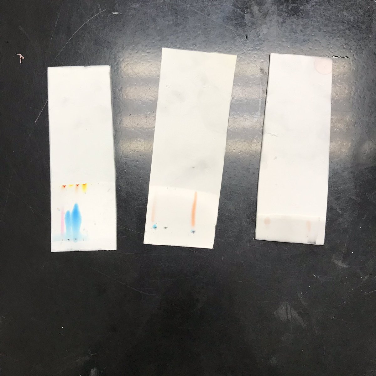 WSEMisceCohort's tweet photo. Lab Day 2 was a success! Ss experimented with food chromatography, melting temp vs. carbon chain length &amp; DNA extraction. Thank you @followMNU &amp; @capsbio Ss for lending us your expertise! #STEM #WSEcohorts https://t.co/EPifWvjxux