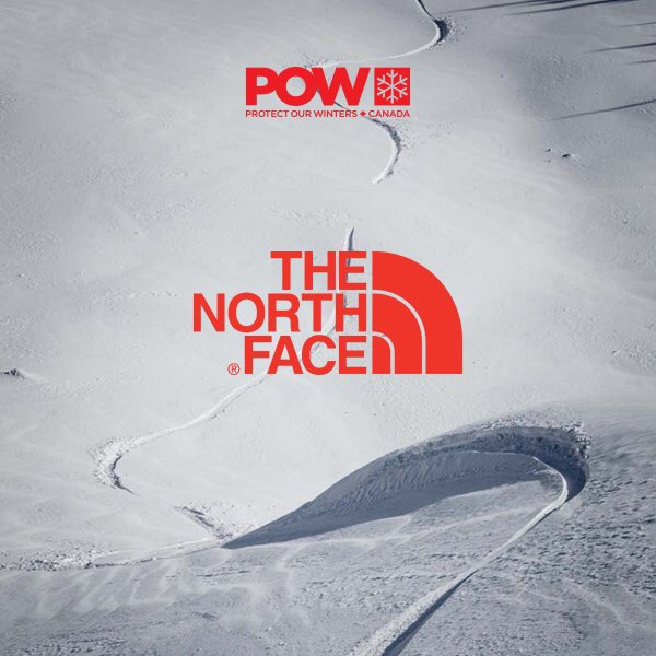 Anna Segal tweet media