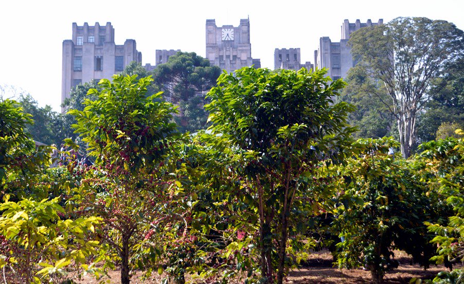 Você já pensou em ter uma horta na sua casa? Em parceria com o Instituto Biológico a gente te ensina algumas dicas sustentáveis de como criar e manter uma: 
bit.ly/2tLb0qv