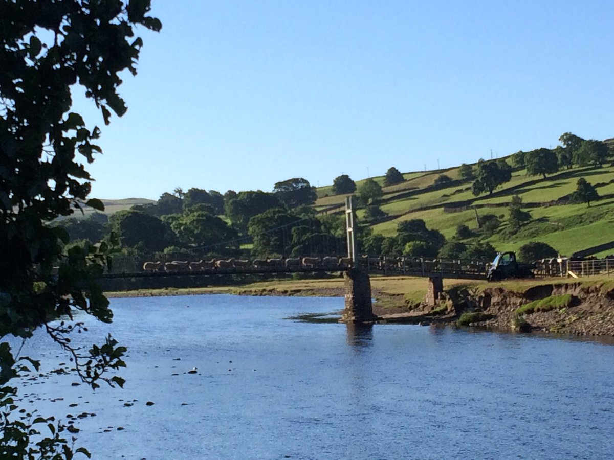 Just some sheep crossing a bridge
#sheep #sheepworld #sheepfarming #swaledalesheep #swaledales #farming #farminguk #farmingpics #swaledale #yorkshiredales #yorkshiredalesnationalpark