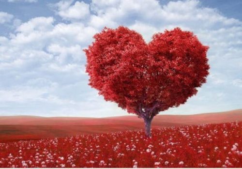 Growing in Nonjudgemental Love lovewinscec.org/growing-in-non…