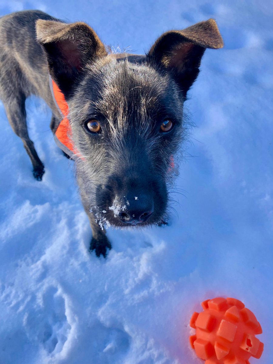 Happy Birthday Lola! One-years old today!