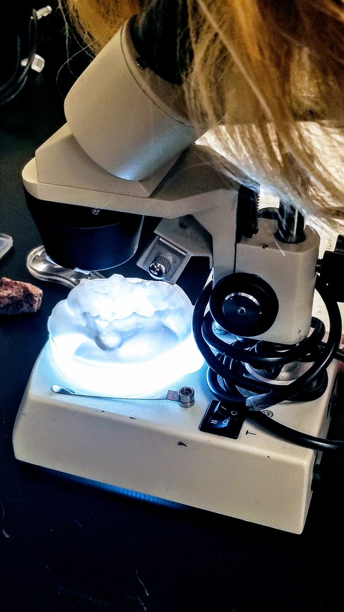 mmsscienceclass's tweet photo. Checking out the properties of matter during #scienceclass here at #CharlesPMurray 🔬
#nhcsScience #MMSForward #handsonscience https://t.co/wMjk99rQ8Z