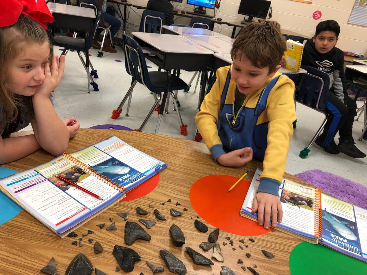waters_kim's tweet photo. No better way to end our shark unit in Read 180 than to get to actually hold, talk about, and then write about real shark teeth!! They loved this opportunity. #read180rocks #sharkteetharecool @GlyndaleElemen1 @Mjswiger @JennVandy https://t.co/gV5fz4cw5F