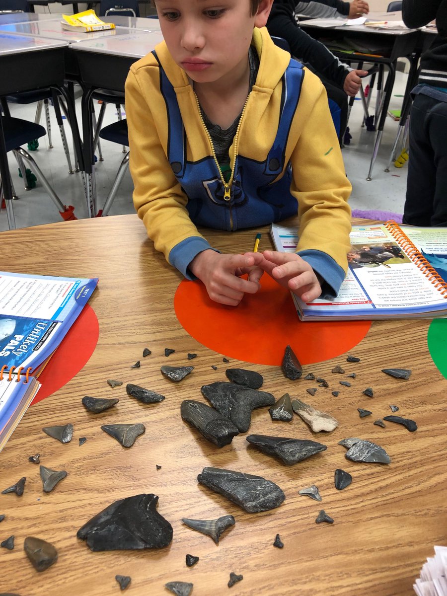 waters_kim's tweet photo. No better way to end our shark unit in Read 180 than to get to actually hold, talk about, and then write about real shark teeth!! They loved this opportunity. #read180rocks #sharkteetharecool @GlyndaleElemen1 @Mjswiger @JennVandy https://t.co/gV5fz4cw5F