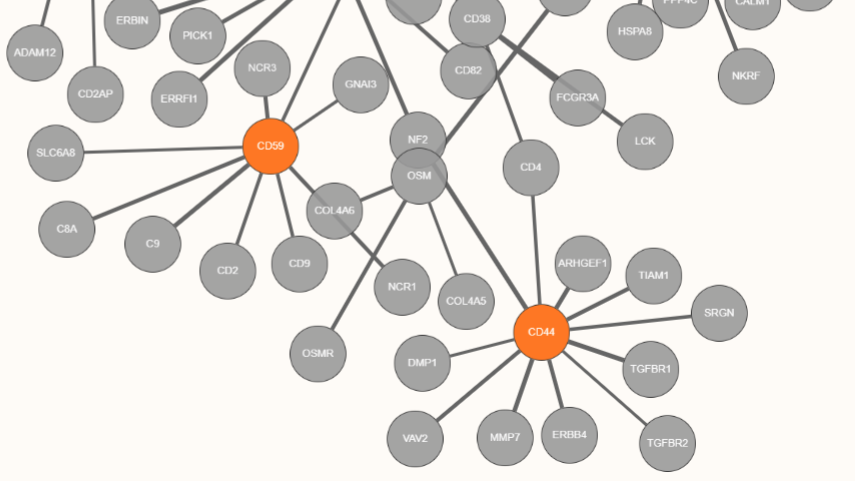 NDExProject's tweet photo. Content from HIPPIE db available in NDEx: https://t.co/lLg39dfT4S
Over 390k human integrated interactions from 10 source databases and 11 studies. Thanks to @MartinHSchaefer and the CBDM group @uni_mainz_eng.
#nciitcr #networkbiology #compio @cytoscape @CancerCellMap https://t.co/QLKPdRMHaz